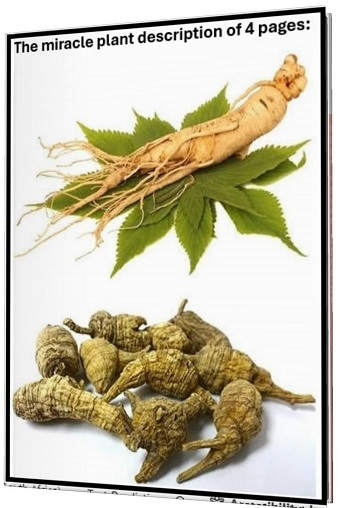 The miracle plant e-cover